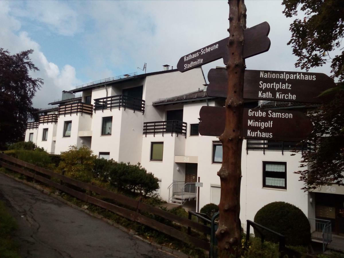 Apartment Harzgrün 2 Sankt Andreasberg Exterior foto